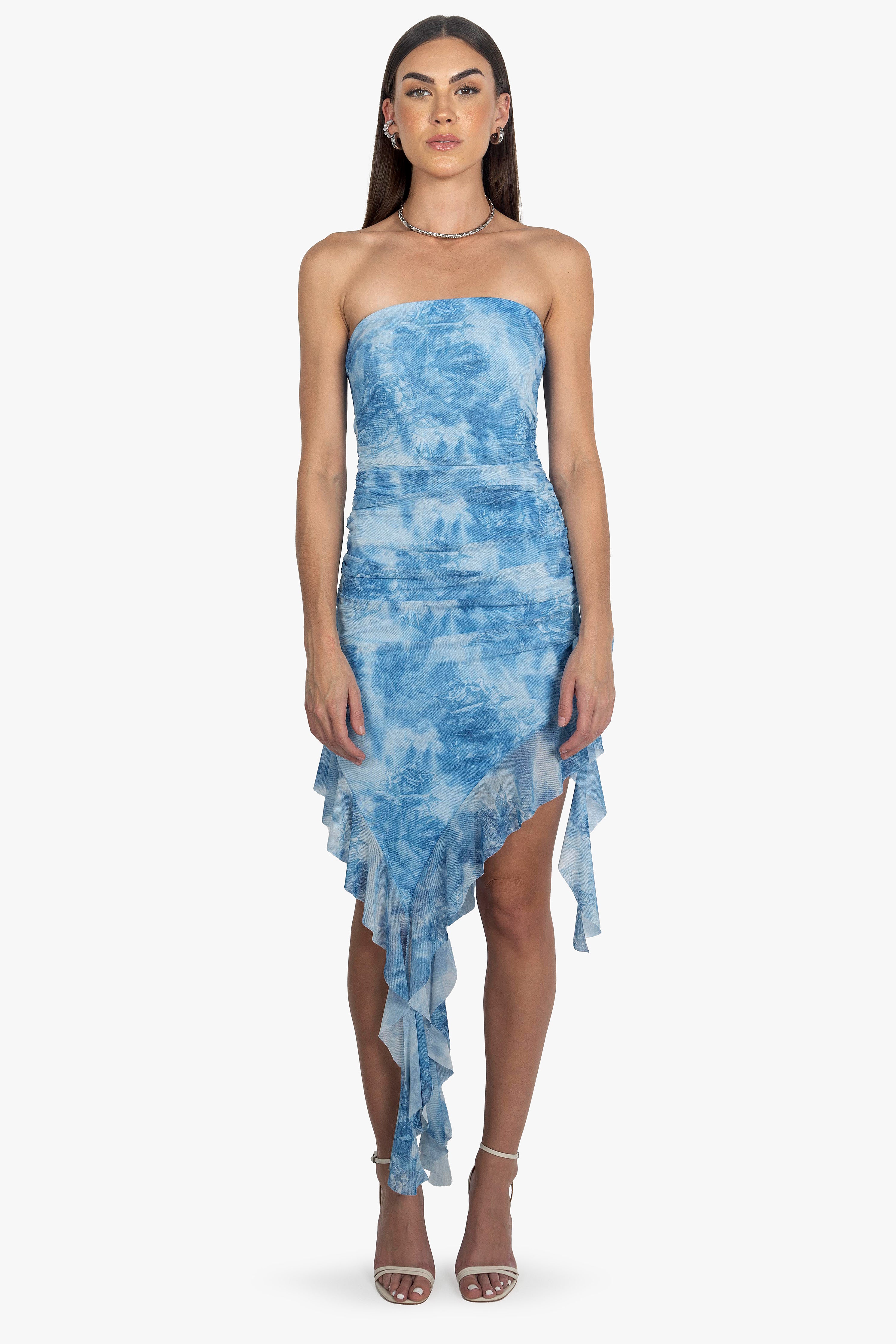 SKY ROSE MESH DRESS