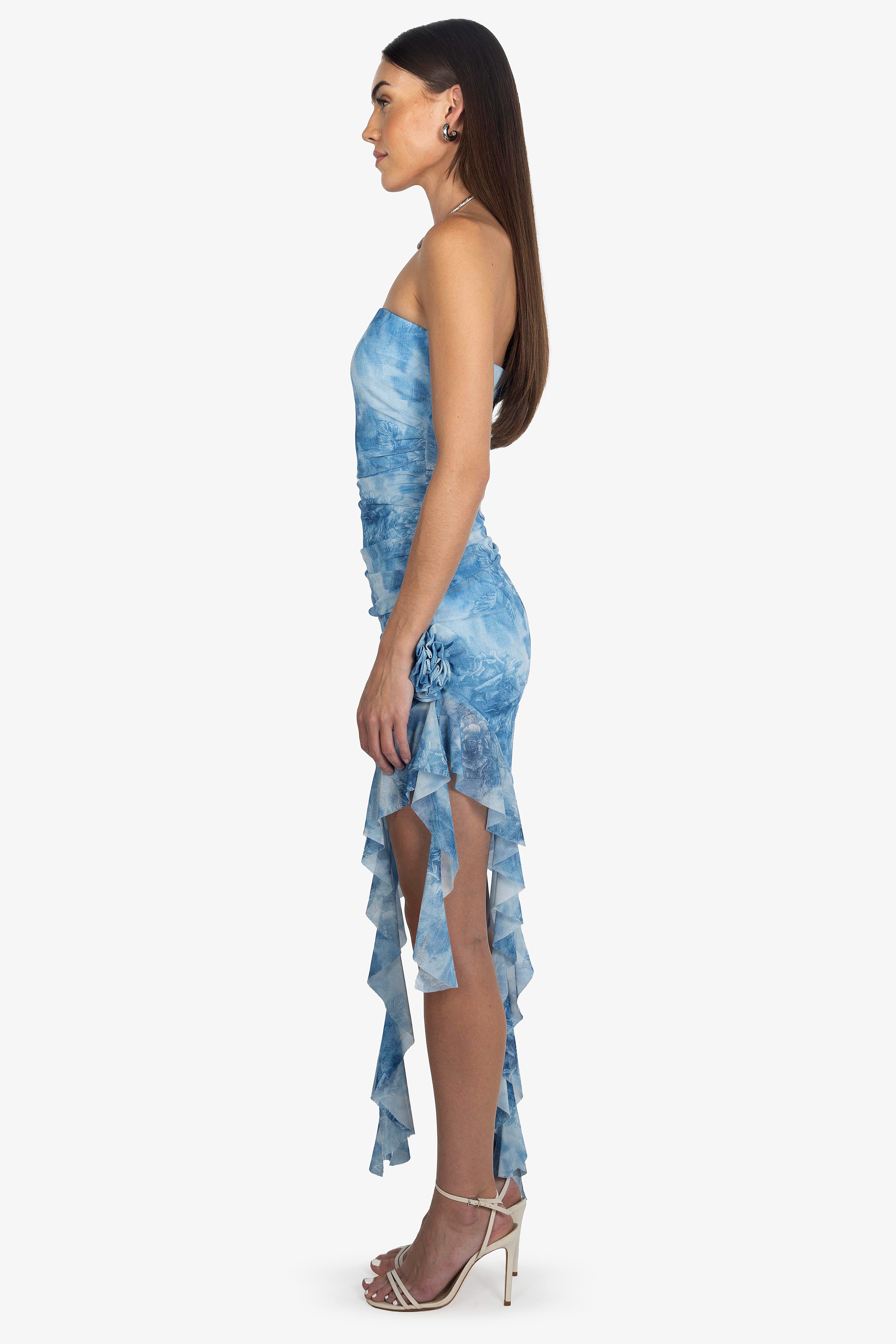 SKY ROSE MESH DRESS