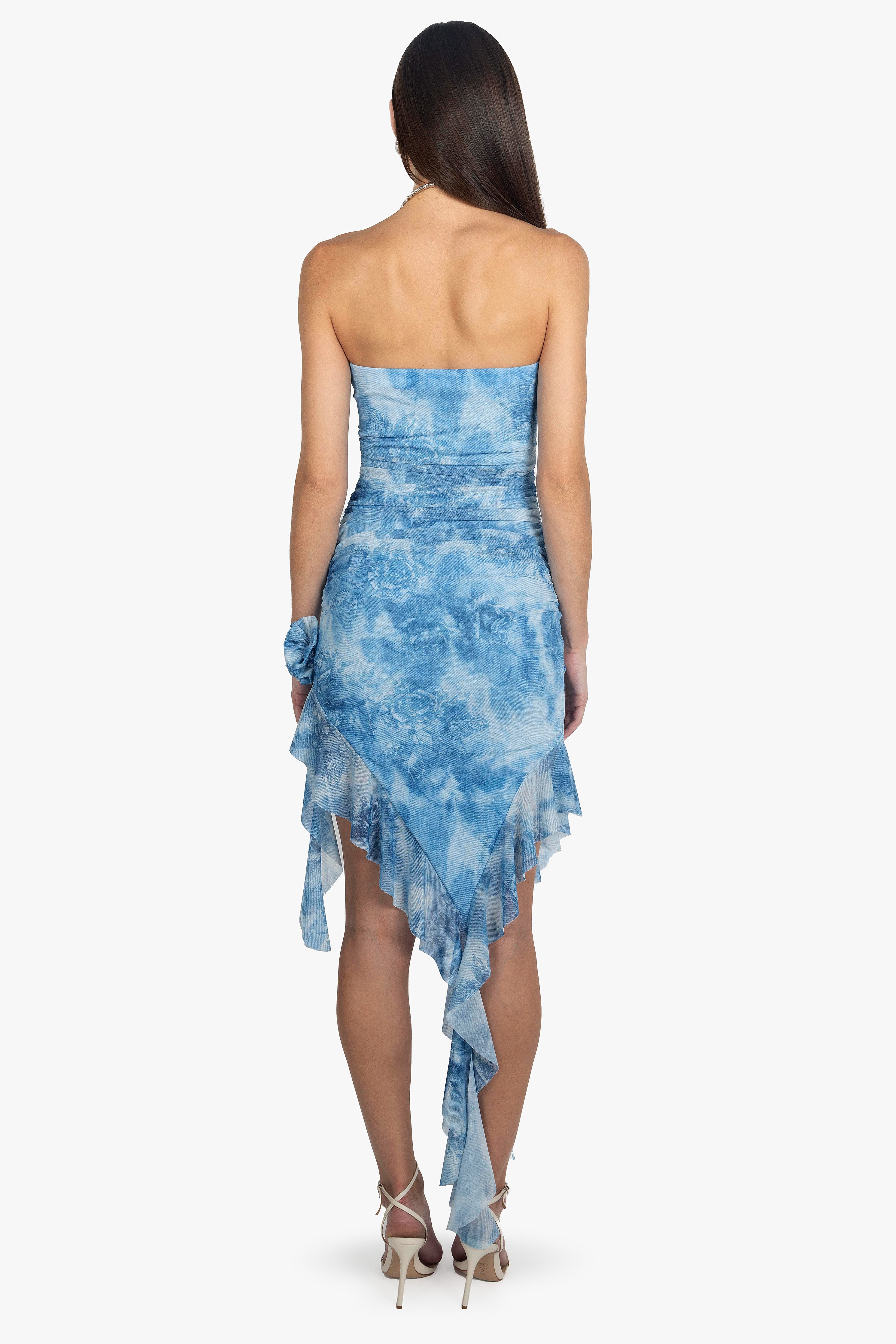 SKY ROSE MESH DRESS