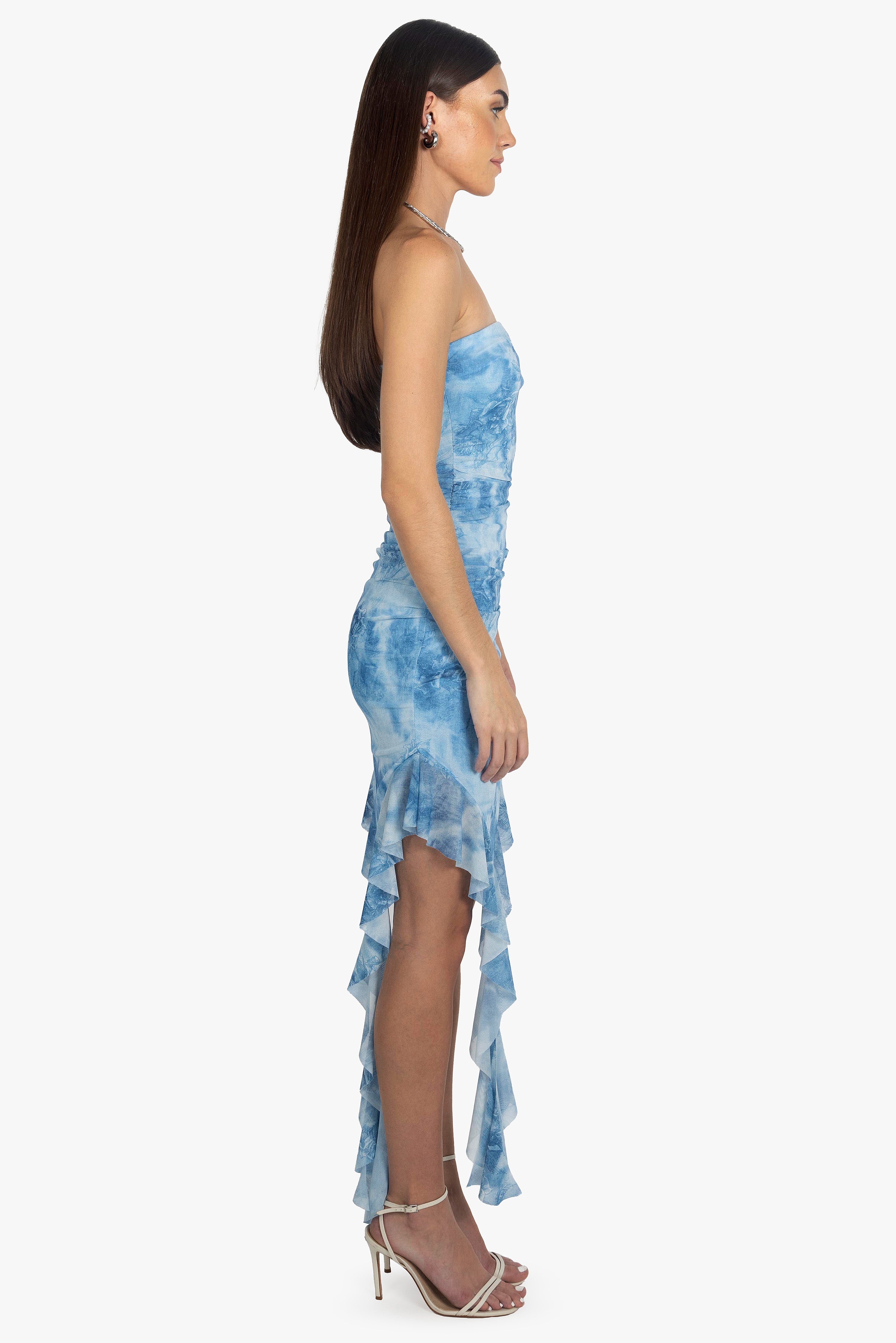 SKY ROSE MESH DRESS